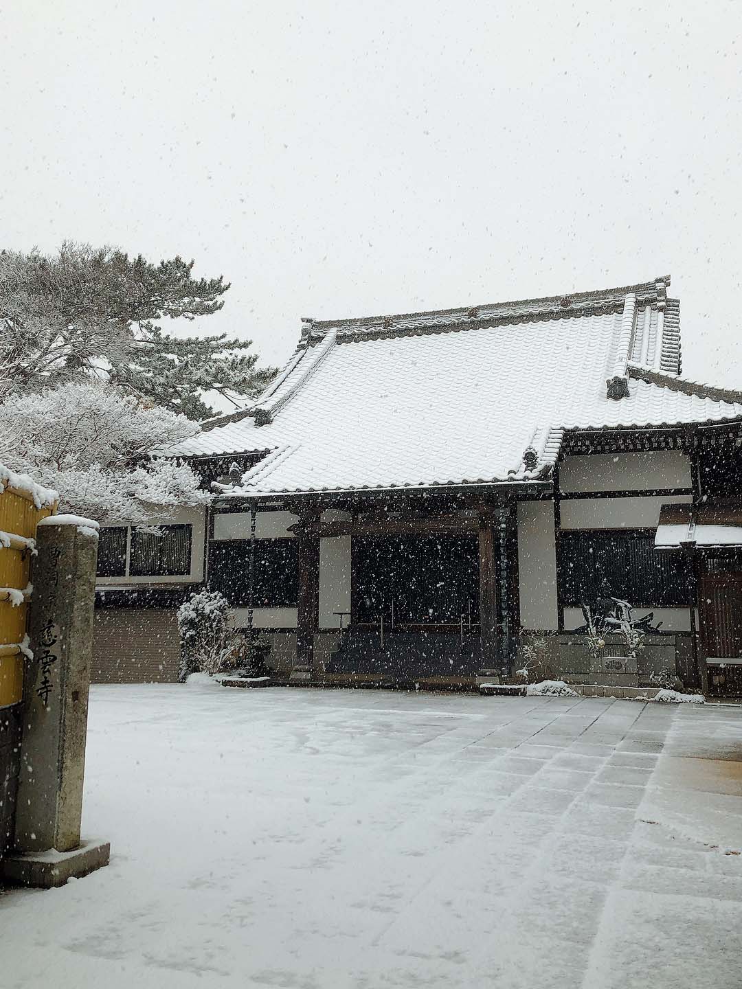 冬の慈雲寺